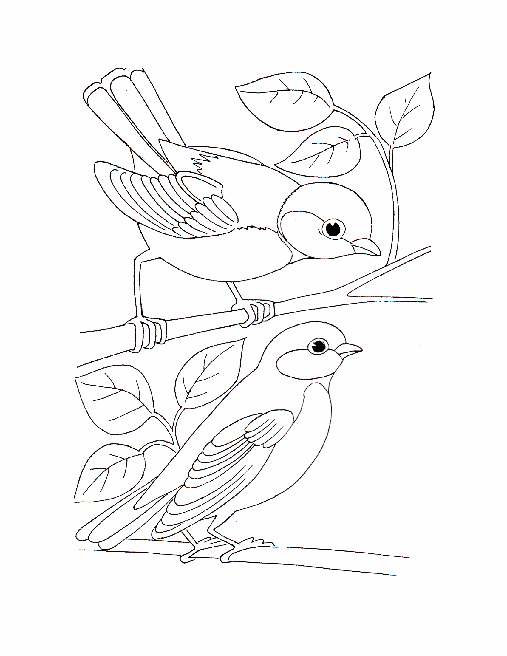 Раскраски птицы 13