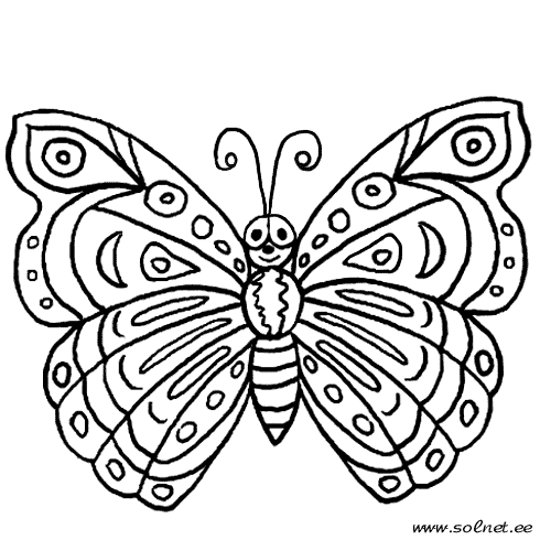 Раскраски бабочки и насекомые 12