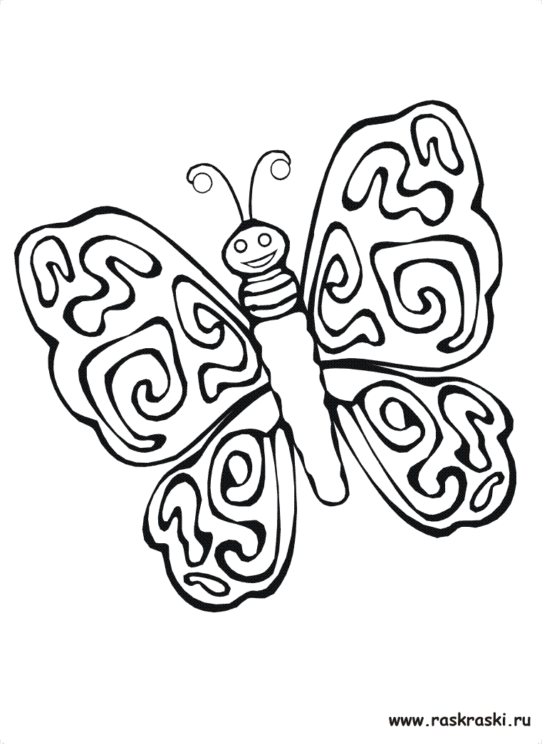 Раскраски бабочки и насекомые 13