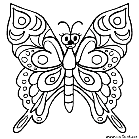 Раскраски бабочки и насекомые 37
