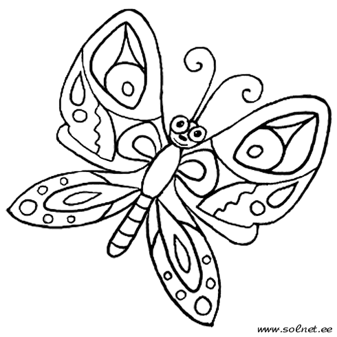 Раскраски бабочки и насекомые 38