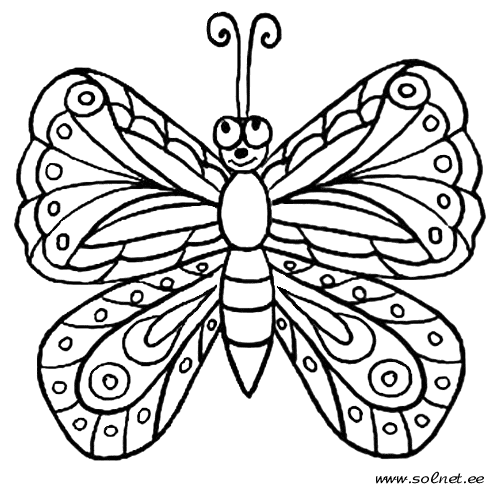 Раскраски бабочки и насекомые 39
