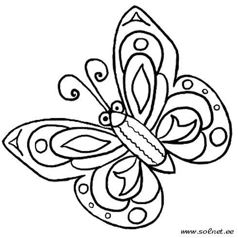 Раскраски бабочки и насекомые 41