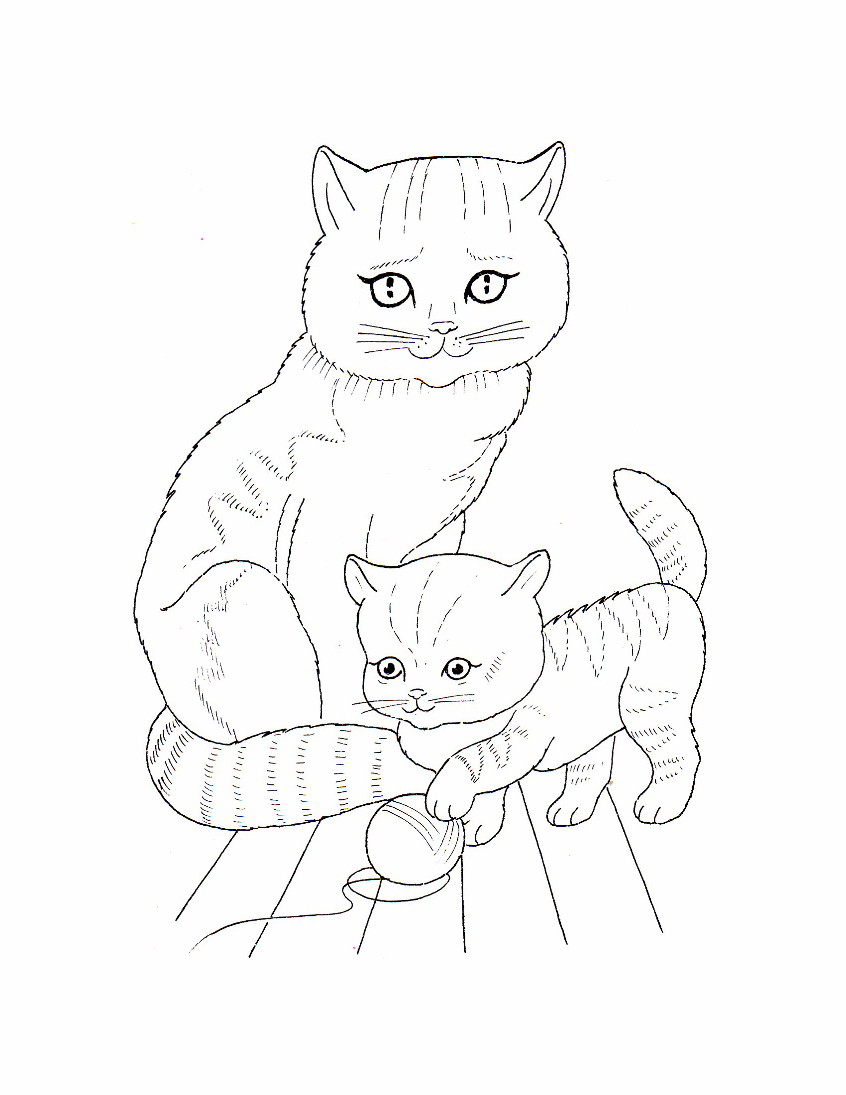 Раскраски кошки 4
