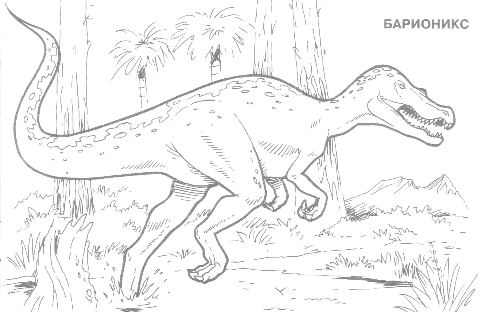 Раскраски динозавры 11