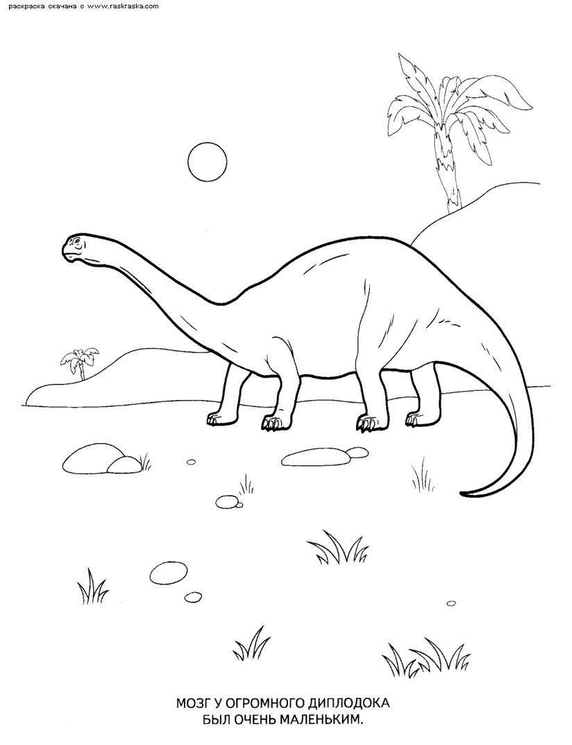 Раскраски динозавры 17