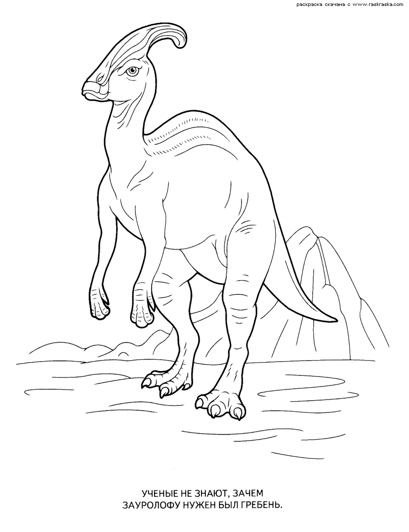 Раскраски динозавры 18