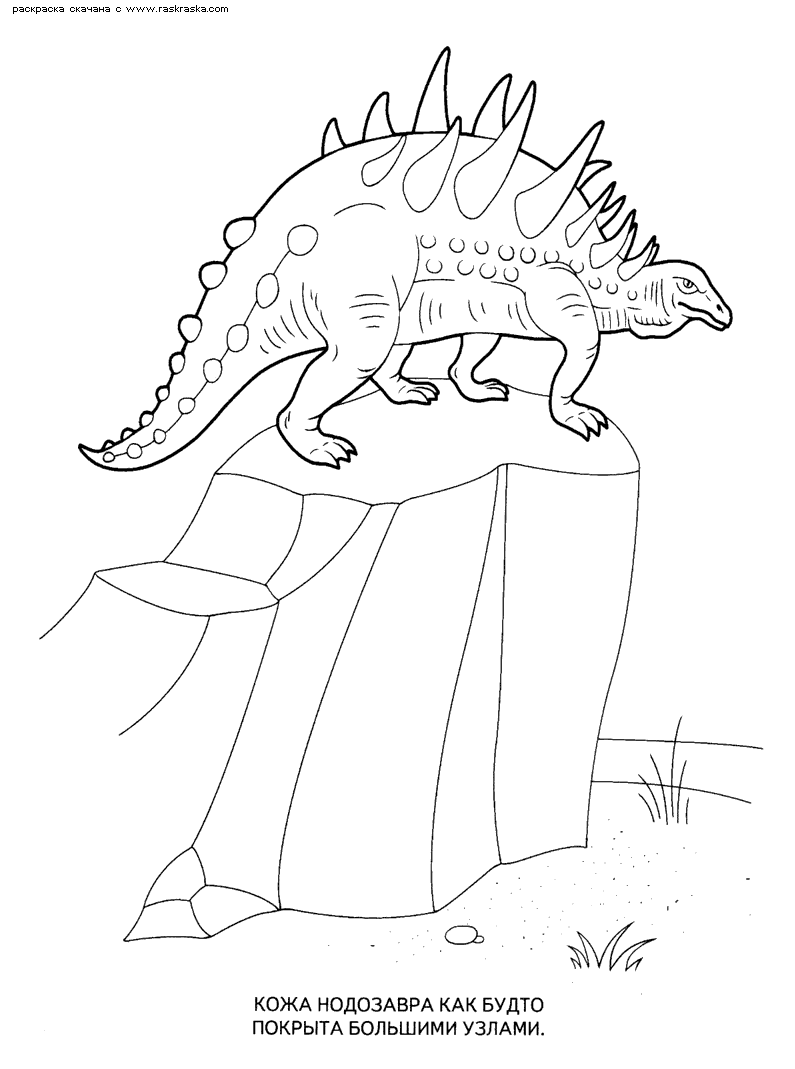 Раскраски динозавры 19