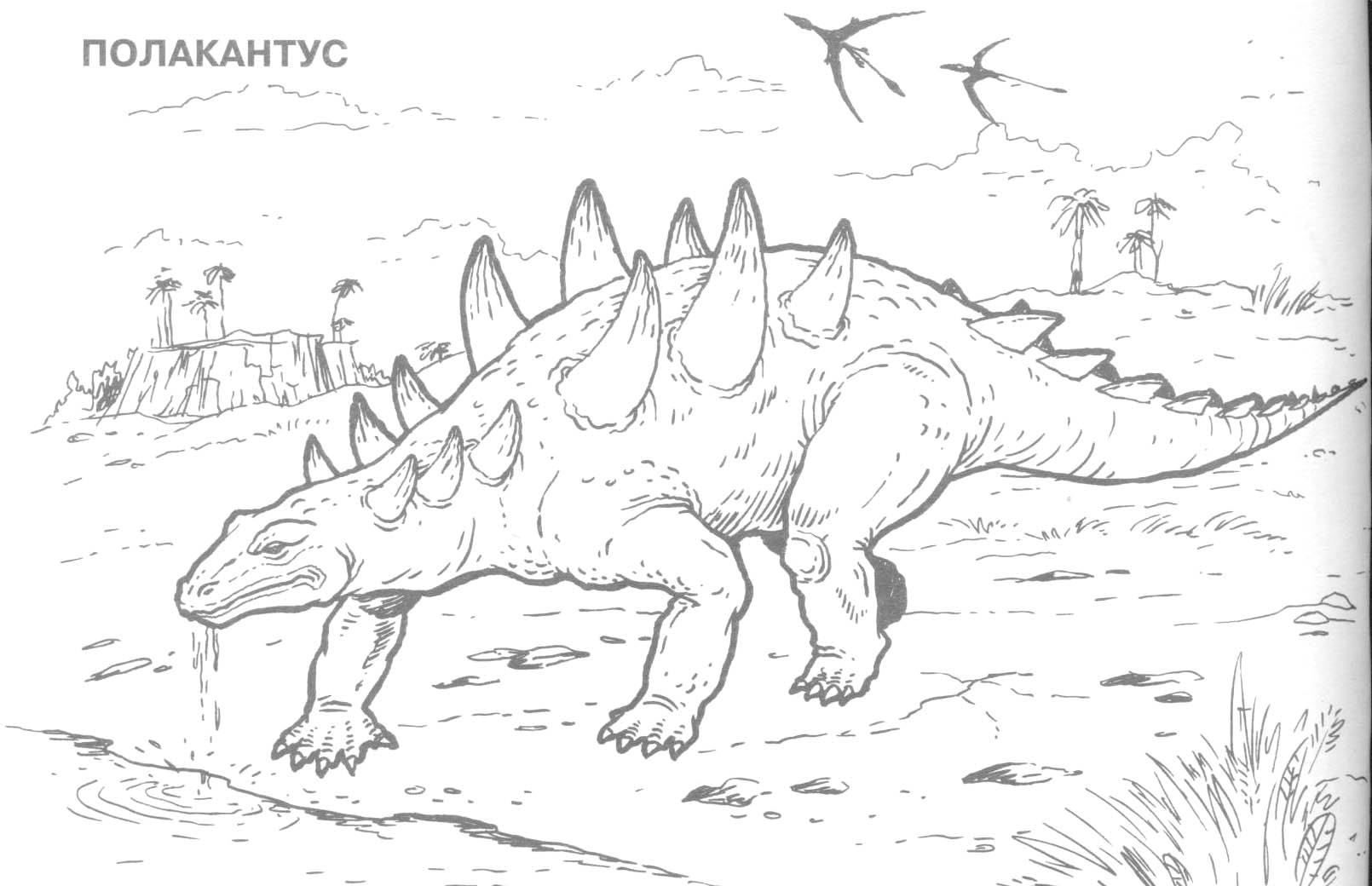 Раскраски динозавры 3