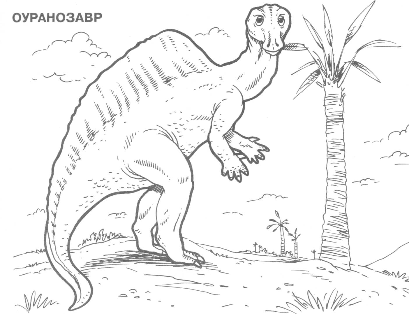 Раскраски динозавры 5