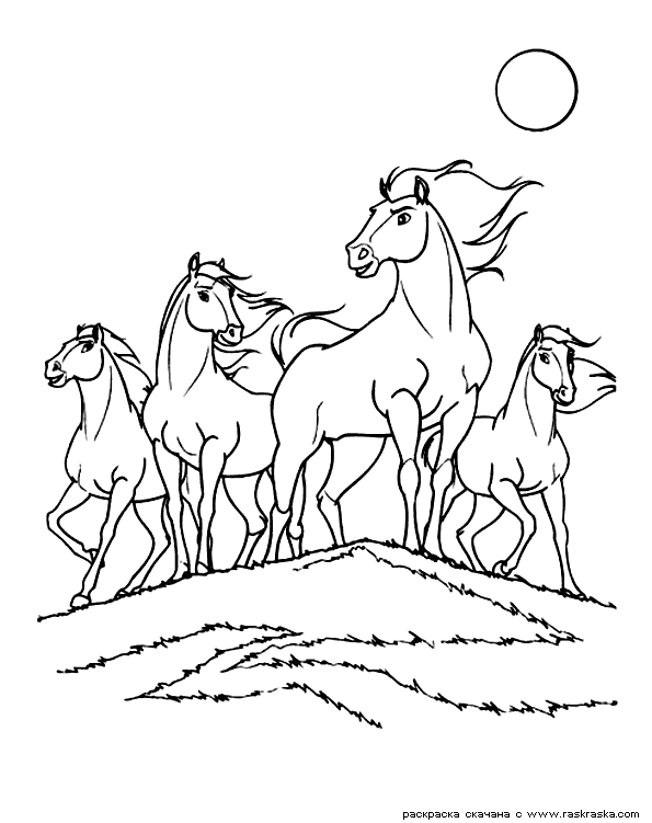 Раскраски лошади 1