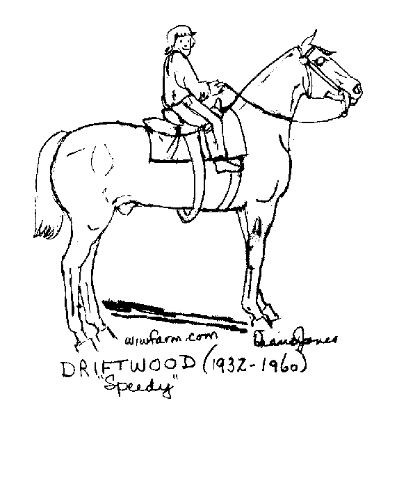 Раскраски лошади 17