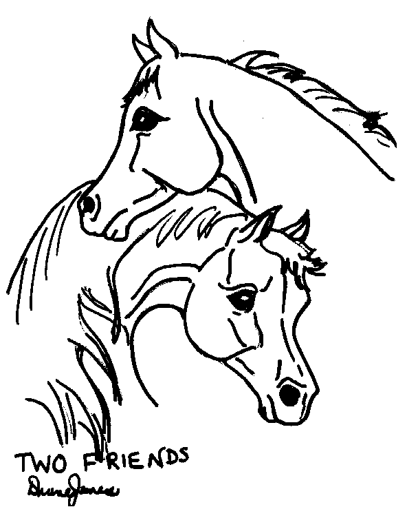 Раскраски лошади 19
