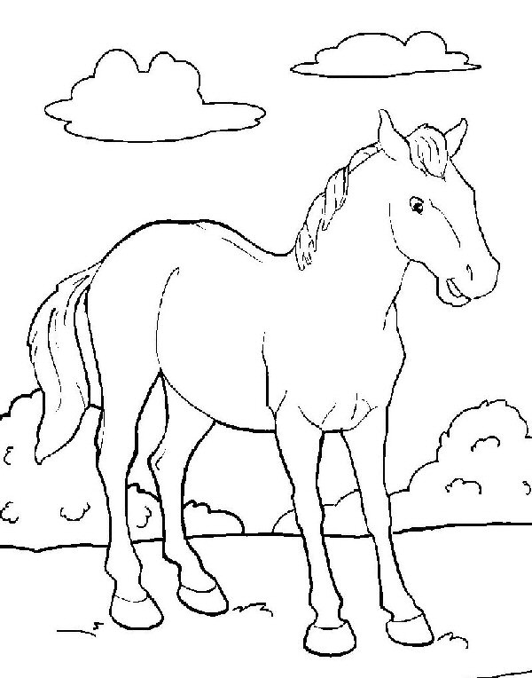 Раскраски лошади 27