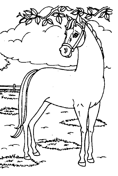 Раскраски лошади 30