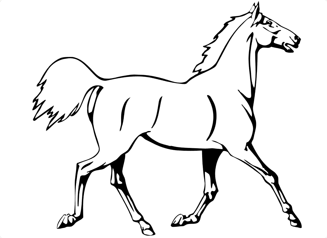Раскраски лошади 4