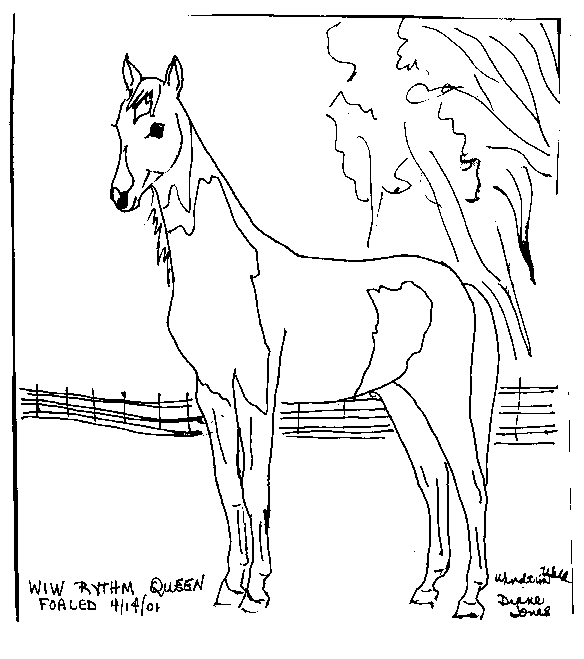 Раскраски лошади 44