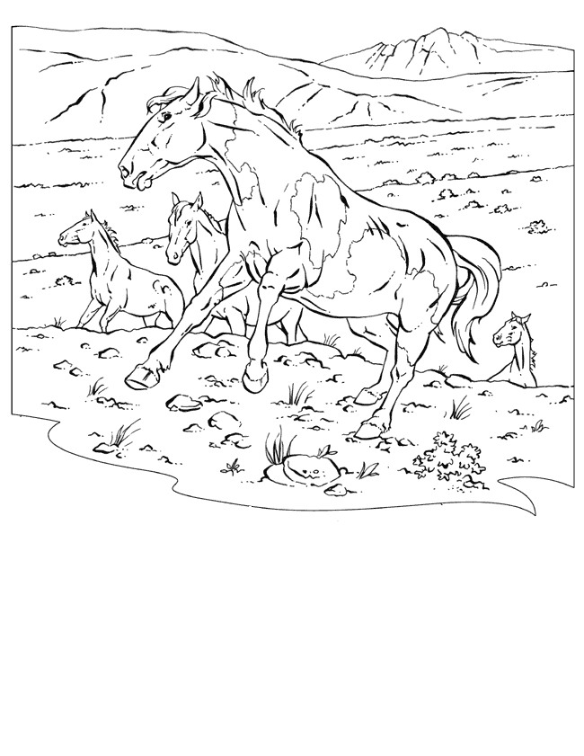 Раскраски лошади 49