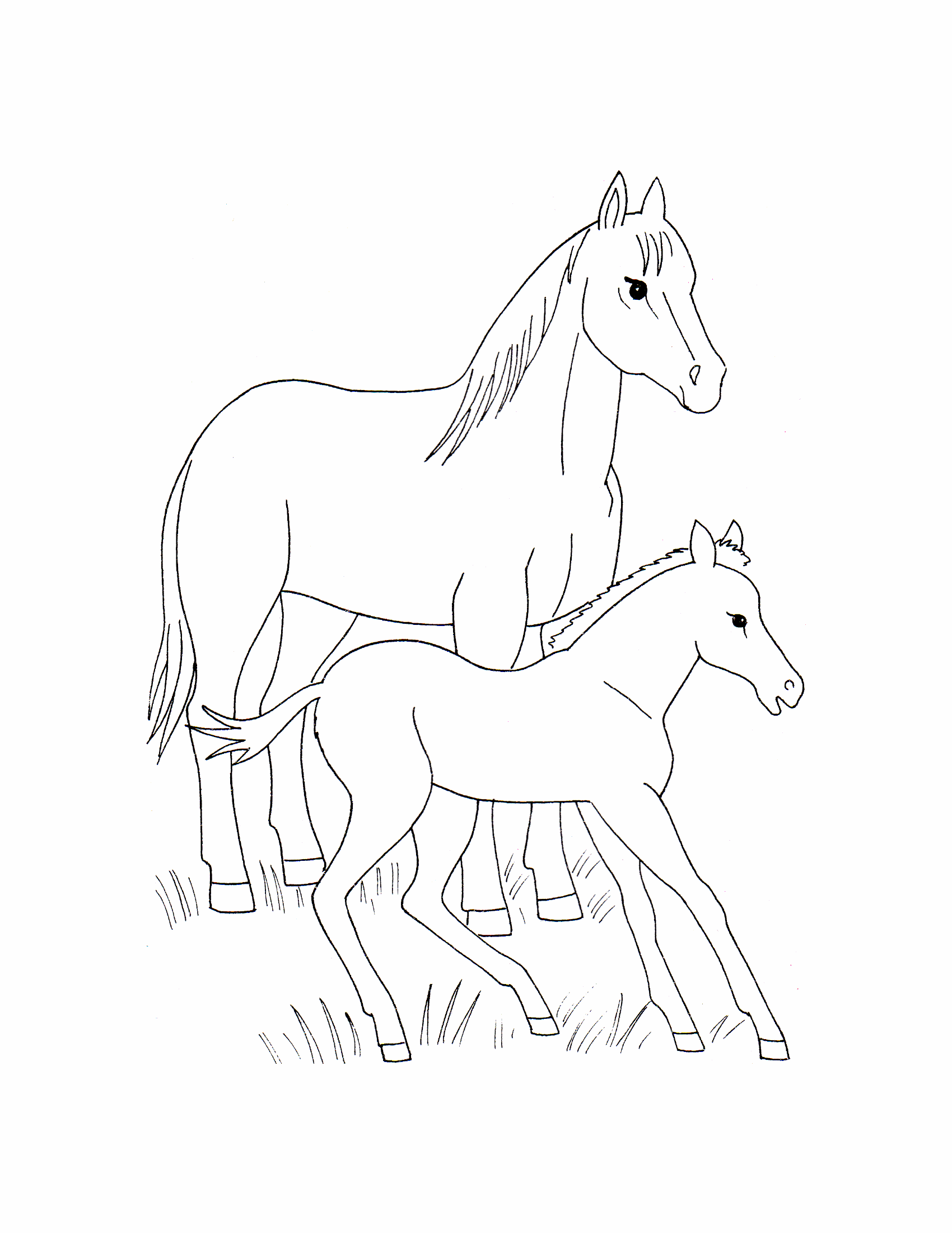 Раскраски лошади 7